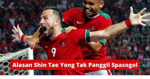 Pelatih Bali United Ungkap Alasan Shin Tae-yong Tak Lagi Panggil Spasojevic ke Timnas Indonesia