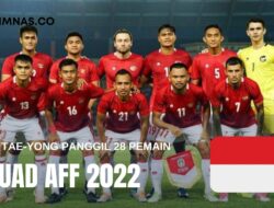 Shin Tae-yong Panggil 28 Pemain Persiapan Piala AFF 2022, Ini Dia Daftarnya