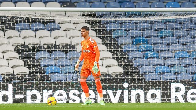 Dani van den Huevel, kiper keturunan yang bermain di Leeds United.